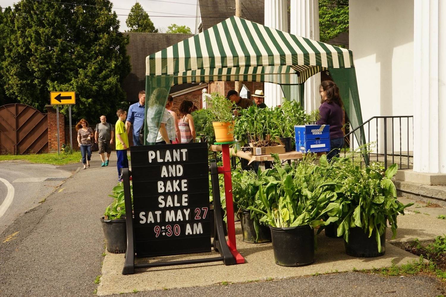 Plant Sale-11.jpg