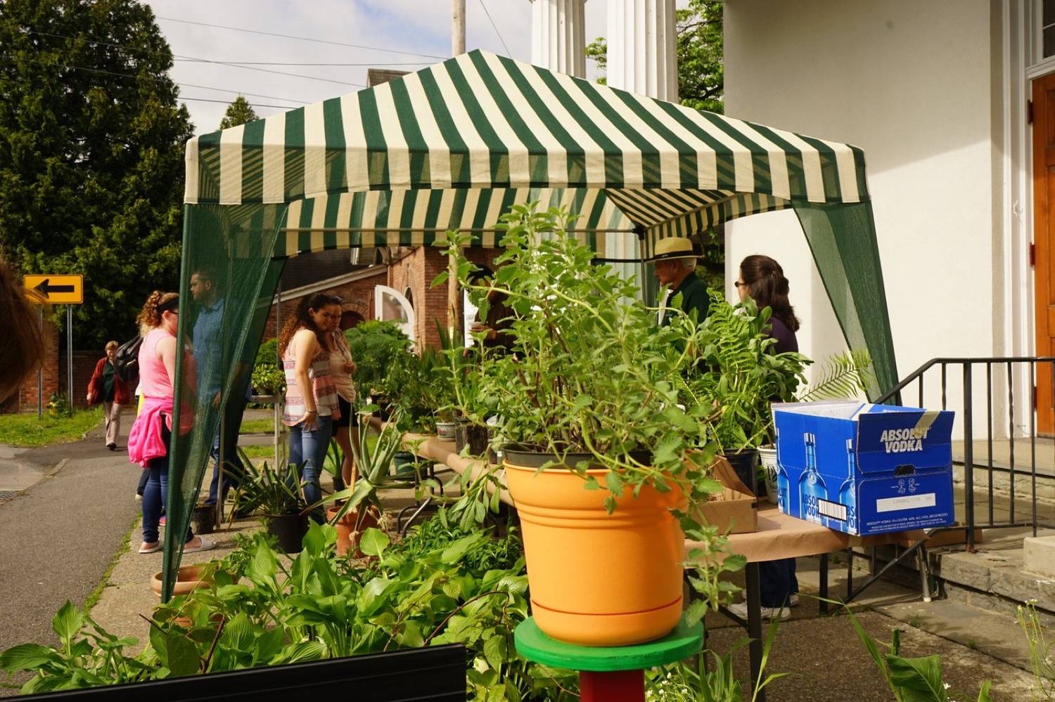 Plant Sale-12.jpg