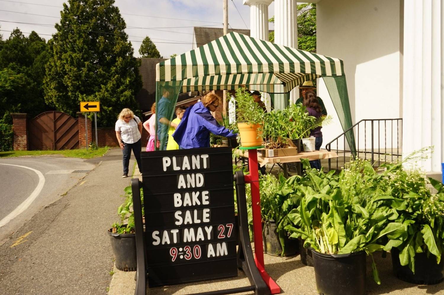 Plant Sale-15.jpg